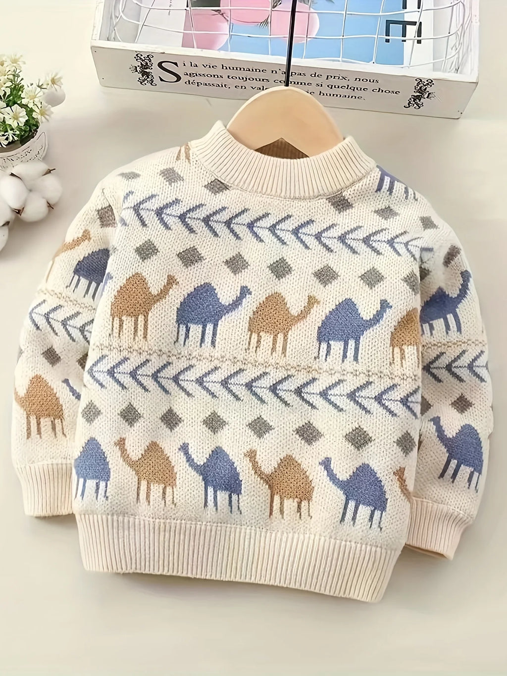 Boys' Knitted Sweater