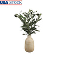 15 Inch Artificial Olive Potted Plant in Wood Finish Vase Home Office Decor Tabletop Accent Piece Realistic Foliage